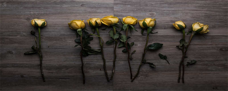 19朵黄玫瑰代表着永远爱你